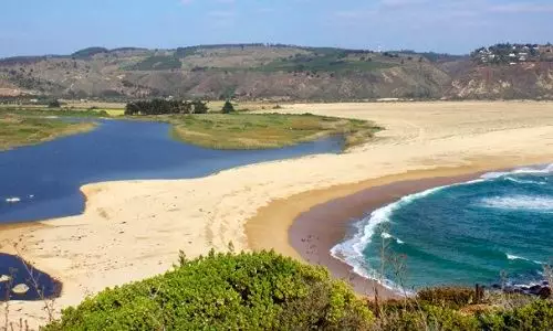 Corte de Valparaíso paraliza obras inmobiliarias cercanas a campo dunar de Tunquén