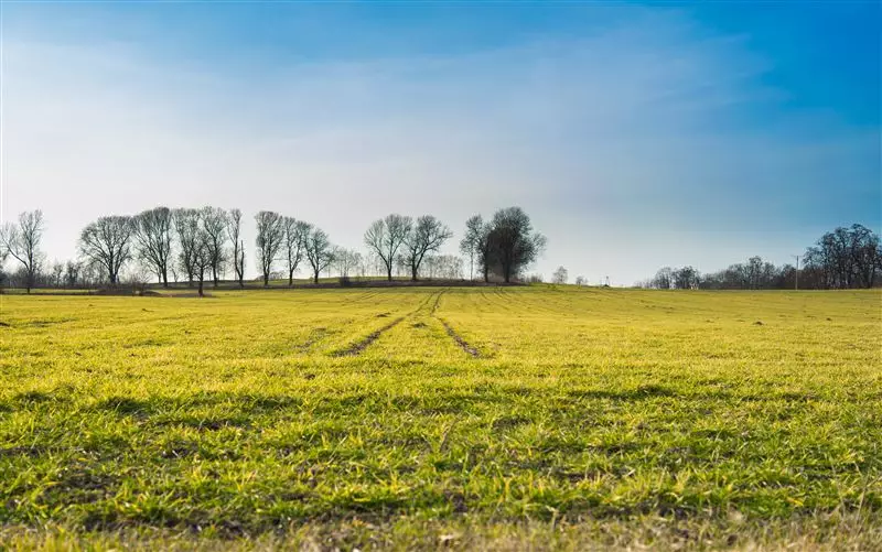 Inmobiliarias presentan recurso de protección contra Agricultura y el SAG por instructivo de parcela