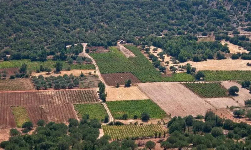 Gobierno dice que antes de fin de año tendrá anteproyecto sobre parcelaciones rurales
