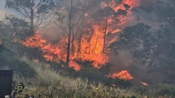 Análisis Colliers sobre los incendios