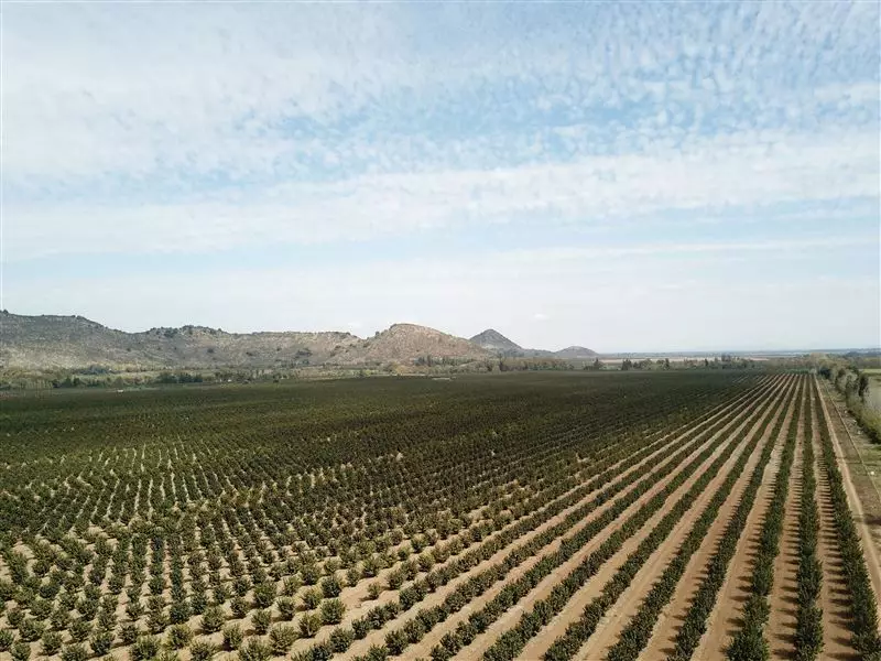 Millonarias pérdidas por por lluvias en infraestructura y agro