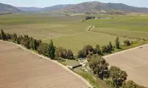 Contribuciones de predios no agrícolas en aumentado