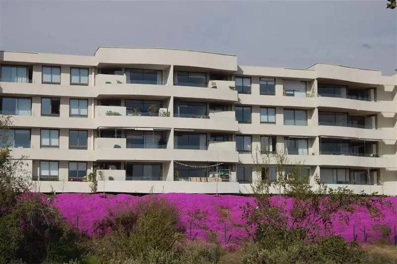 Ventas de departamentos de lujo siguen cayendo