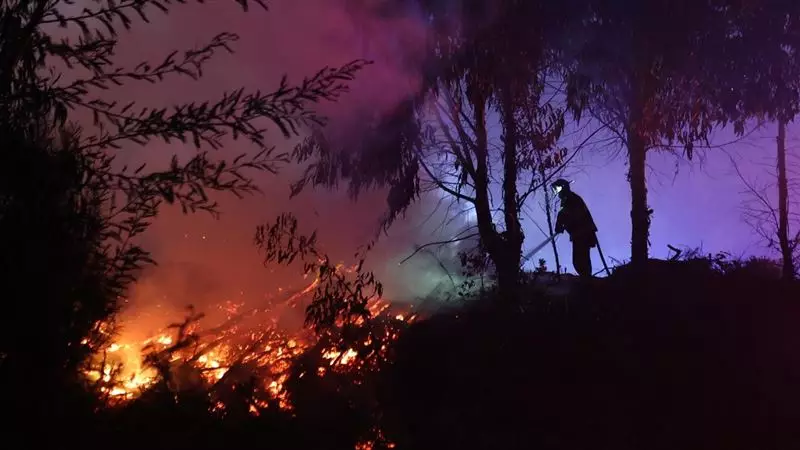 Estimación de os daños por incendios recientes en la zona centro sur del país