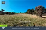  Venta  Agrícola en Yumbel  UF845,20 $34.618.500 