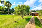  Arriendo  Casa en Tomé  UF26,86 $1.100.000 