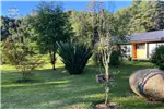  Arriendo  Casa en Concepción  UF61,04 $2.500.000 
